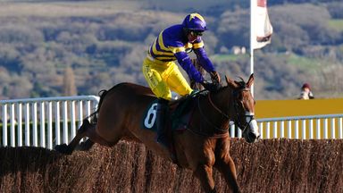 Korac Rambler scored two wins from three matches on the fences by beating Cheltenham on Friday